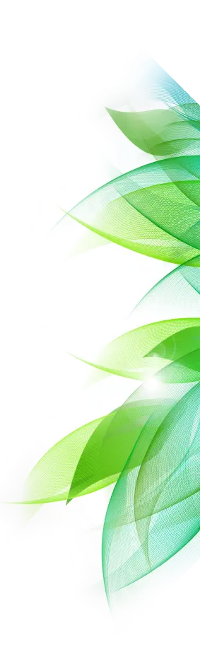 Leaf Graphic2