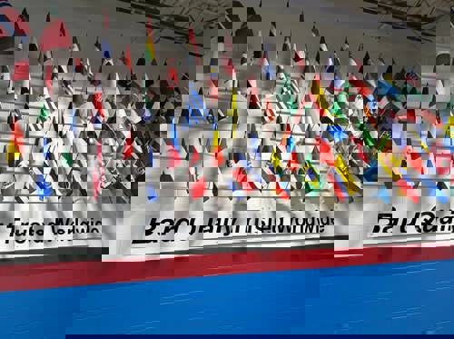 International flags representing countries with Bard products.